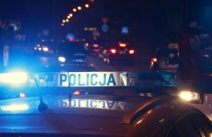Zatrważające statystki policji. 16 osób zginęło na polskich drogach