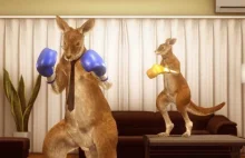 To nie PETA wyrzuciła kangura Rogera z Tekken 7