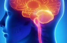 Rezonansu magnetyczny pomaga wykryć chorobę Parkinsona we wczesnym stadium.