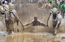 Zwycięzcy Sony World Photography Awards - 2014