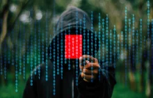 Polska wśród 20 państw Europy najbardziej zagrożonych atakami hakerów