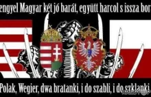 Gest węgierskiego Jobbiku wobec Polaków.Dziękujemy, że stoicie murem za Węgrami.