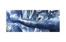 4 minutowy trailer Wiedźmina 2 na X360 przygotowany przez Platige Image