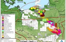 Polska ma największe zasoby gazu łupkowego w Europie