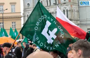 Narodowiec zatrzymany w Chełmie za flagę z falangą! Postawiono mu zarzuty