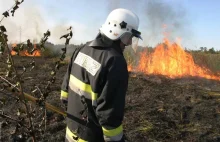 Wypalanie traw - ile jeszcze pokoleń musi przeminąć? Fajna analiza ekspertów