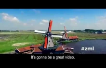 Holandia do Trumpa