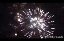 Amateur Show of Fireworks New Year's Eve 2015/2016