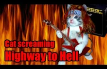 Highway to Hell (cover AC/DC)