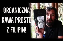 Jak powstaje organiczna kawa na Filipinach?