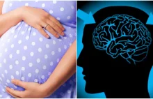 Kobietom w ciąży... kurczy się mózg. Mają przez to problemy poznawcze.