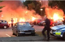 Szwecja w kolejnych odmętach paranoicznych teorii. "To prawicowcy podpalają auta