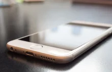 Apple nie chce odblokować iPhone'a zabójcy z San Bernardino