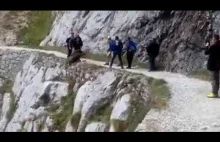 Grupa turystów osacza dzika na szlaku górskim i doprowadza do tego, że spada.