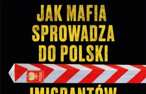 Imigracyjna ośmiornica: kulisy działania mafii sprowadzającej Polakom imigrantów