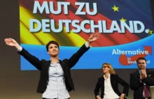 Alternatywa dla Niemiec - na antyimigranckich nastrojach w Niemczech...