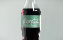 Coca-Cola będzie robić swoje butelki z plastiku zebranego w oceanach