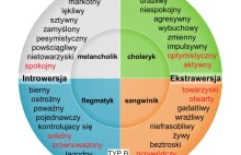 Odkryj, który typ energii posiadasz. Flegmatyk, melancholik, choleryk czy...