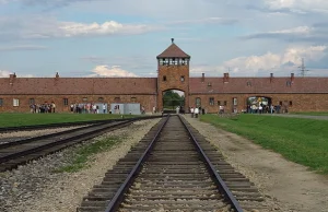 Aby nie mówili już nigdy więcej nieprawdy! 200 brytyjskich nauczycieli wysłano..