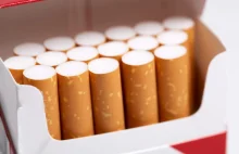 Co czwarty papieros w Polsce jest nielegalny. Efekt wysokich podatków