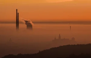 Czy ogrzewanie węglem stanie się zupełnie nielegalne? Miasta delegalizują piece