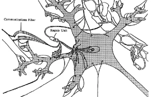 Cell Repair Machines