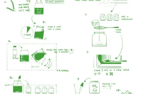 Poradnik ekstrakcji DMT dla opornych [INFOGRAFIKA]