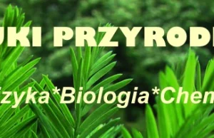 Teoria ewolucji jest najlepiej udowodnioną teorią w dziejach ludzkości.