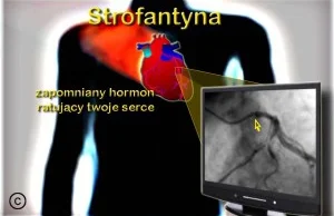 Strofantyna - zapomniany i niedoceniony hormon serca