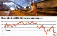 Rybiński: Złoty może być jedną z najsłabszych walut w 2012 roku