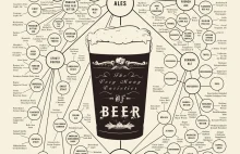 Mapa rodzajów piwa - infografika.