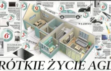 Krótkie życie AGD. Sprawdź ile wytrzyma Twój sprzęt!