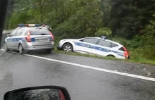 Radiowóz wpadł do rowu... Policja tłumaczy się, że wybiegł lis...