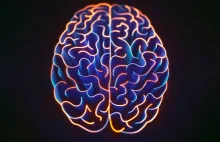 Efektywność ludzkiego mózgu spada po 27 roku życia