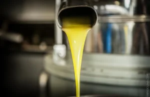 10 rzeczy o oliwie z oliwek
