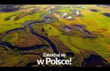 Zakochaj się w Polsce! - świetny filmik promujący piękno naszego kraju