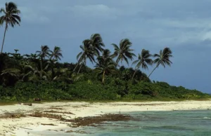 5 wysp Salomona zniknęło pod powierzchnią wody przez zmiany klimatu.