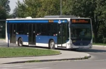 Szok na trasie autobusu 116