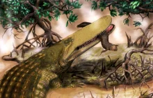 Opancerzony krokodyl rodem z Afryki