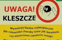 Dzięki tym ziołom pokonasz kleszcze i obronisz się przed chorobami!