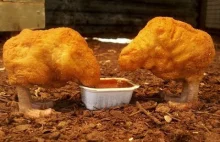 "Kurczaki w Fast Foodach" - film dokumentalny. Lektor PL
