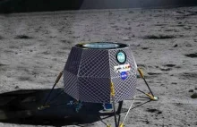 NASA chce spróbować swoich sił w rolnictwie i będzie sadzić kapustę… na Księżycu