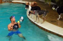 Zdjęcia psów tuż po wystrzeleniu w wodzie piłki