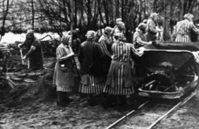 Aryjskie bestialstwo wobec polskich kobiet w III Rzeszy. Jaki los im zgotowano?