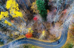 National Geographic - najlepsze zdjęcia 2014 roku