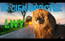 10 interesujących faktów o LWACH