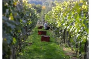 Agrobiznes - kolejny odcinek kultowego programu dla prawdziwych rolników