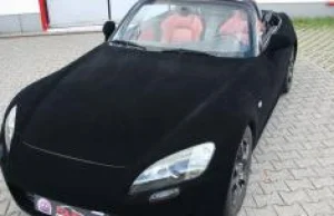 Honda S2000 - otul się na jesień