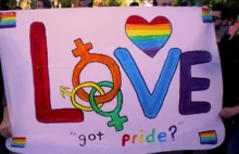 Deklaracja LGBT: założono na FB profil "Strajk Rodziców" Natychmiast go usunięto