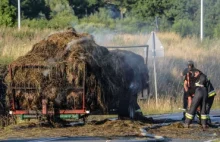 Pożar obornika na przyczepie w Zielonej Górze. W akcji 3 zastępy straży pożarnej